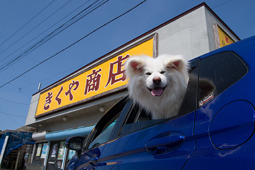 七里長浜きくや商店イメージ