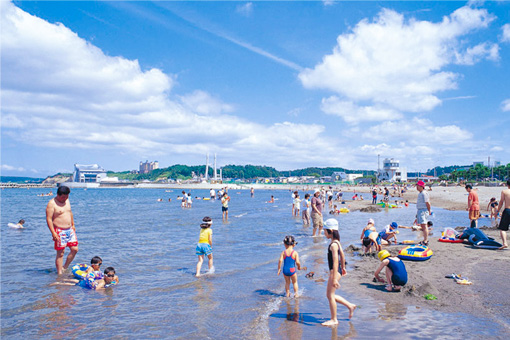 地元はまなす公園の海水浴イメージ